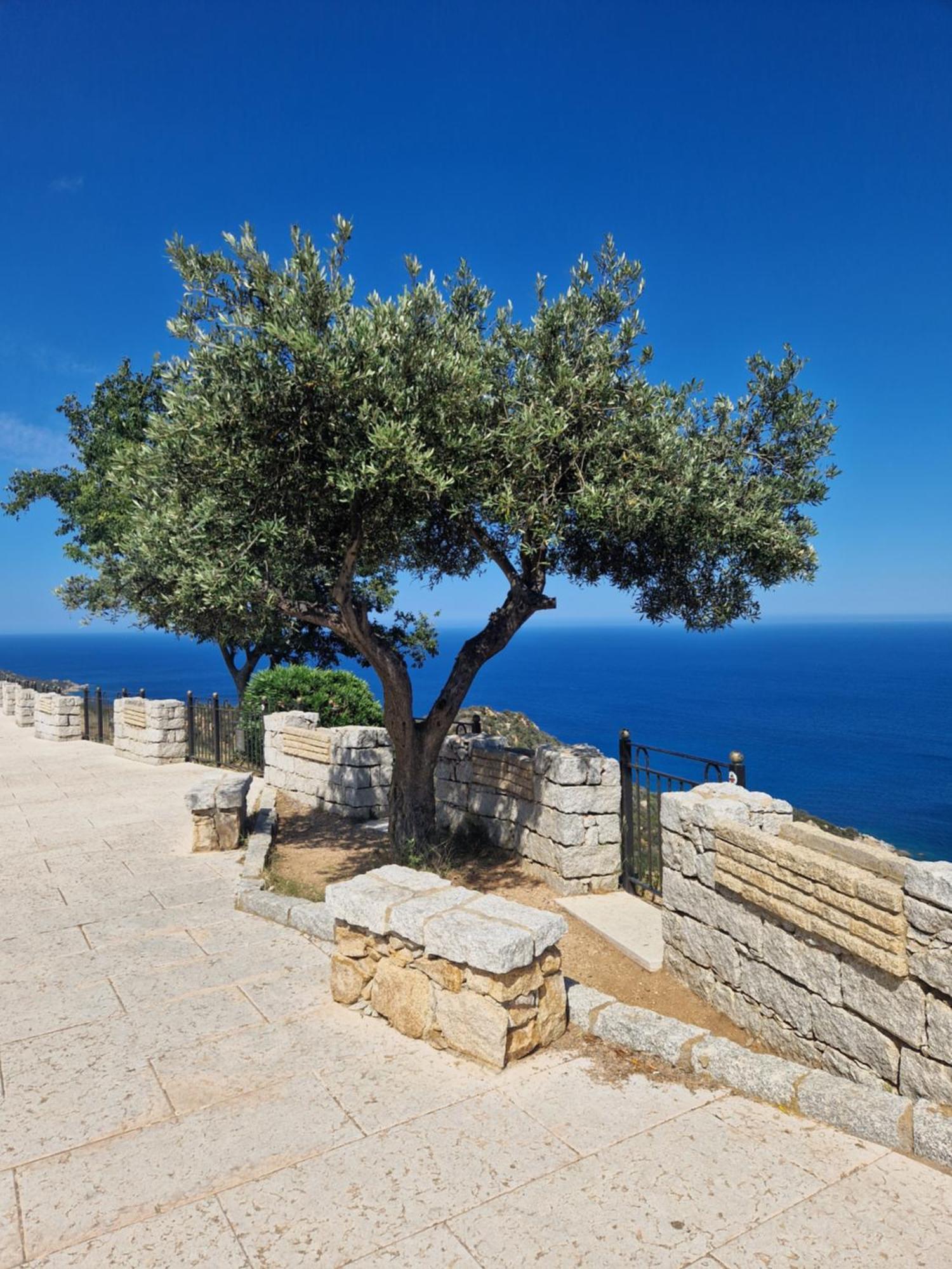 Casa Olive Apartment San Vito (Sardinia)